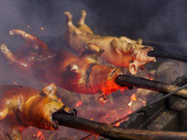 Thịt lợn quay trứ danh khiến thực khách phải xếp hàng chờ đợi nhờ cách quay thịt độc đáo