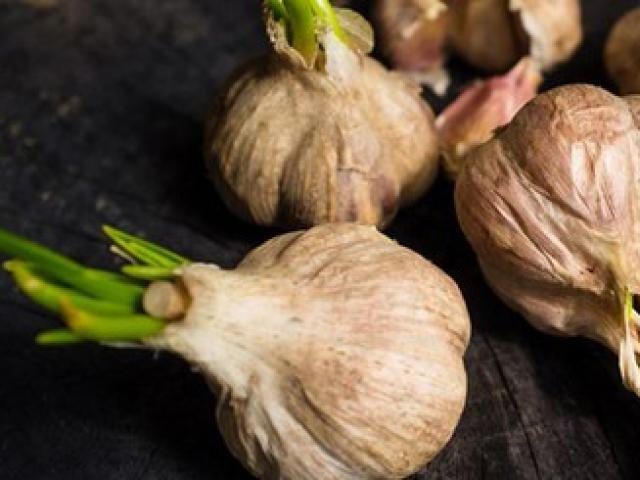 Chuyên gia chỉ rõ loại rau củ mọc mầm hại như thuốc độc và những loại quý hơn thuốc bổ