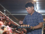 Clip Eva - Bỏ lò gạch ra làm trang trại, nông dân Hải Dương thu chục triệu mỗi ngày