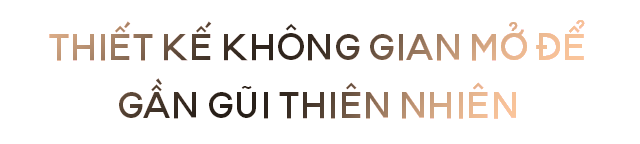 Chán phố thị, 9X bỏ Sài Gòn lên Đà Lạt dựng nhà gỗ, nuôi 16 chú chó tìm bình yên - 18