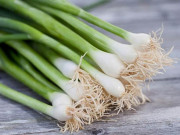 Sức khỏe - Thứ bán vài ngàn ở chợ có 5 tác dụng “vàng” với sức khỏe nhiều người không biết