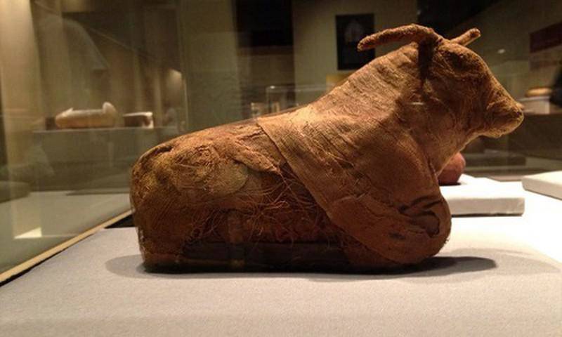 Bí mật kinh hoàng sau khi lật nắp quan tài 90 tấn bằng thuốc nổ - 3