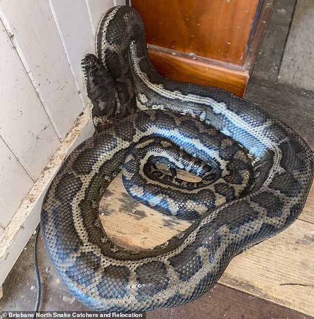 Đi chơi một đêm về thấy trần nhà sập, người đàn ông khiếp vía khi vào phòng ngủ - 2