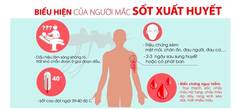 Người đàn ông ở quận Hoàn Kiếm, Hà Nội tử vong vì sốt xuất huyết - 1