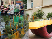 Tin tức - Người phụ nữ nhặt từng chiếc lốp xe, chai nhựa, khi biết mục đích ai cũng "ngả mũ" thán phục