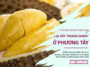 Bếp Eva - 5 loại quả ngon, phổ biến ở Việt Nam lại gây "hoang mang", sợ hãi với người phương Tây