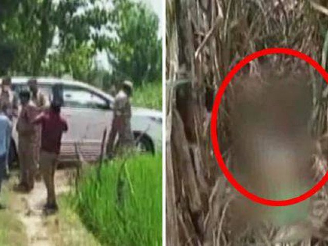 Thi thể bé 3 tuổi ở ruộng mía, mẹ sốc khi nghe kết quả khám nghiệm và kẻ thủ ác