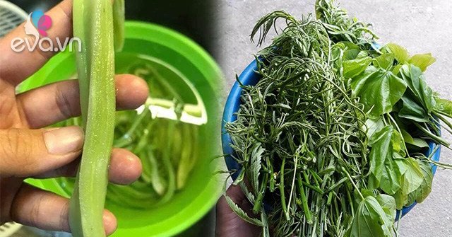 6 loại rau rừng ở Việt Nam giá đắt vẫn được lùng tìm, có tiền chưa chắc ...