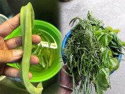 Tiêu dùng - 6 loại rau rừng ở Việt Nam giá đắt vẫn được lùng tìm, có tiền chưa chắc đã mua được