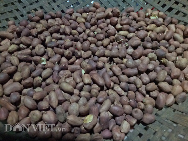 Lạc rang là một trong những nguyên liệu quan trọng tạo nên độ ngon, bùi của món ăn.