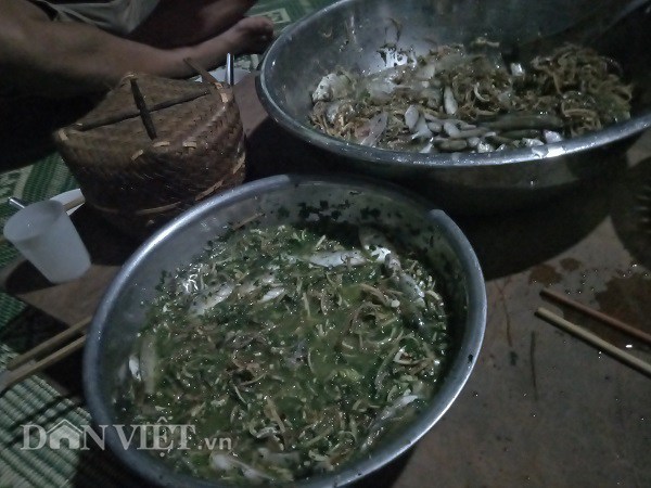 img src/upload/3-2020/images/2020-09-07/1599447755-rung-minh-voi-mon-song-boi-nhay-giay-giua-trong-chau-7-1567691459-width600height450.jpg width660 /