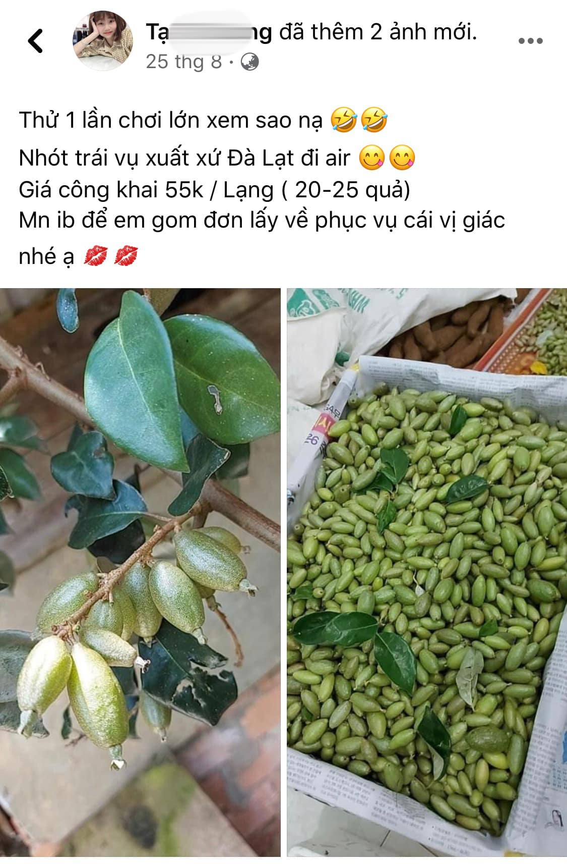 Nhót Đà Lạc đi đường chim bay ra Hà Nội bán với giá 550.000 đồng/kg.