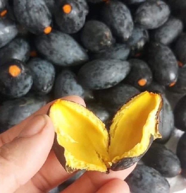 Quả trám có màu đen, cùi màu vàng, ăn rất bùi và ngậy.