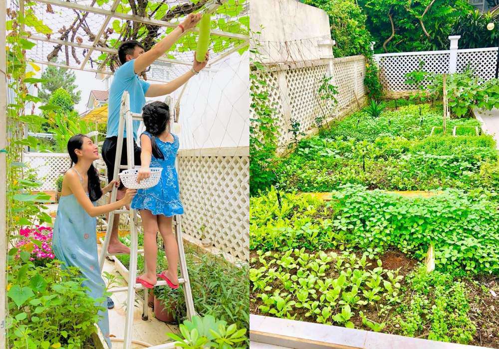 Góc vườn sang chảnh chuẩn nhà giàu trong biệt thự triệu đô của Cường Đô La và dàn sao Việt - 8
