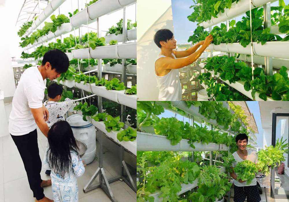 Góc vườn sang chảnh chuẩn nhà giàu trong biệt thự triệu đô của Cường Đô La và dàn sao Việt - 10