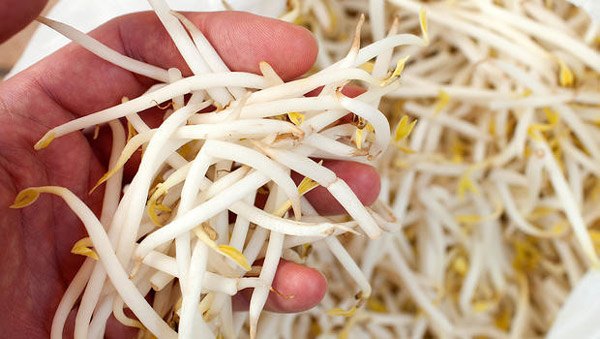 Giá đỗ rẻ mấy cũng đừng mua nếu có 3 dấu hiệu này, ăn vào dễ ngộ độc nhập viện - 1