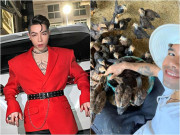 Giải trí - Hai chàng trai được Mỹ Tâm cưng chiều: Người có 10 sổ tiết kiệm, kẻ về quê nuôi gà