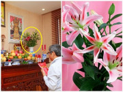 Nhà đẹp - Những loại hoa đẹp không nên rước lên bàn thờ