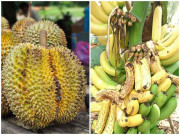 Nhà đẹp - Những loại quả không nên đặt bàn thờ vào mùng 1, lưu ý ngay kẻo mất tài lộc