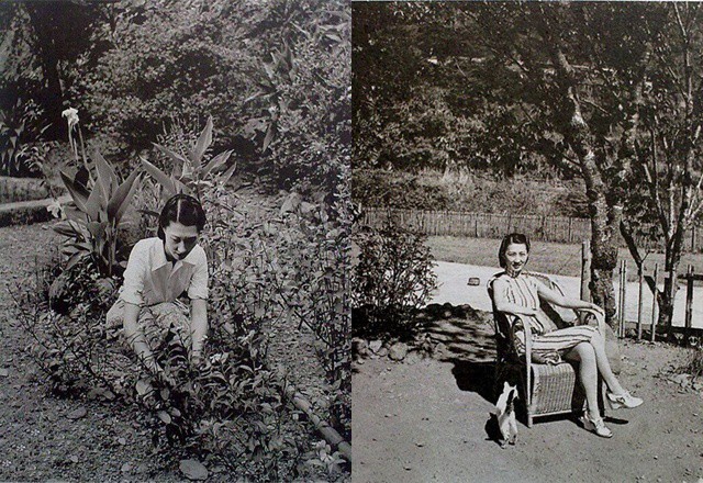 Tiểu thư làm kẻ thứ 3, không danh phận suốt 36 năm, nhận cái kết đáng thương hơn đáng trách - 4