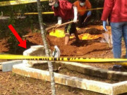 Tin tức - Thấy ngôi mộ không chủ kỳ lạ, người dân đào lên phát hiện sự thật kinh hoàng