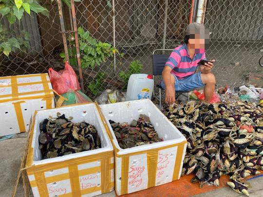 Thực hư cua Cà Mau 50.000 đồng/3 con bán đầy đường, bao ăn - 1