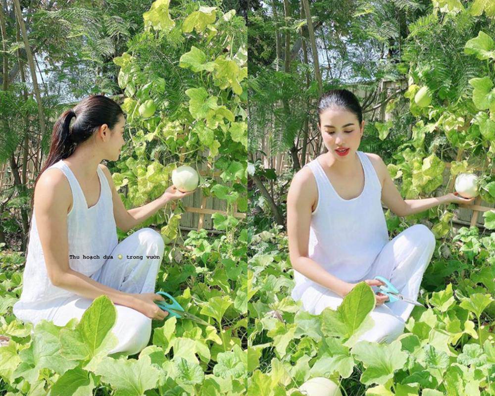 Phạm Hương tăng cân bắp tay to, mặt tròn, bị “soi” vòng 2 lùm lùm - 1