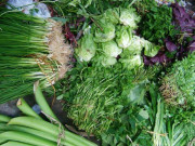 Nhà đẹp - Những loại rau cắt cành cắm vào đất cũng lớn phổng phao, 1 tháng sau cả nhà ăn không hết