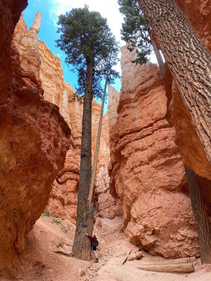 Những hình ảnh con người đứng cạnh thiên nhiên khiến bạn nhận ra chúng ta nhỏ bé nhường nào! - 4