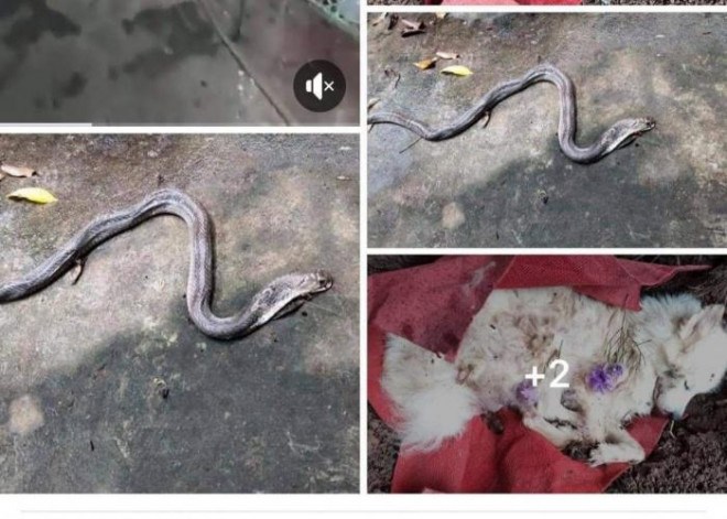 Tin tức 24h: Động thái mới của cô dâu Thu Sao trước ngày kỷ niệm 2 năm cưới chồng trẻ - 4