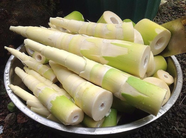 5 loại rau củ cần bỏ ăn vì độc chết người, ăn lượng nhỏ cũng có thể gây ung  thư