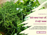 Bếp Eva - Những loại rau kỳ lạ có giá đắt như thịt cá ở Việt Nam