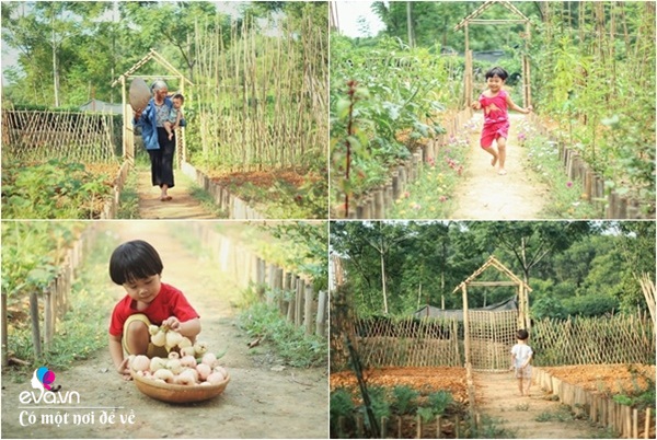 Cô gái 27 tuổi bỏ phố lên vùng sâu cất nhà 20m2, làm vườn, trồng hoa sống an yên - 27