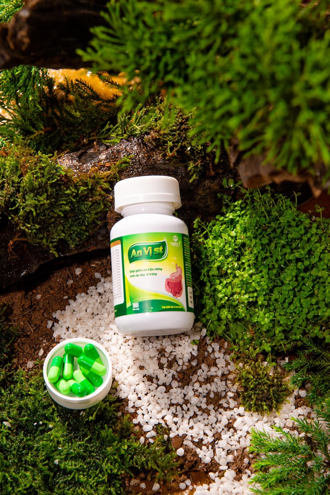 An vị Sơn Tùng – Thảo dược xua tan nỗi lo đau dạ dày, tá tràng - 2