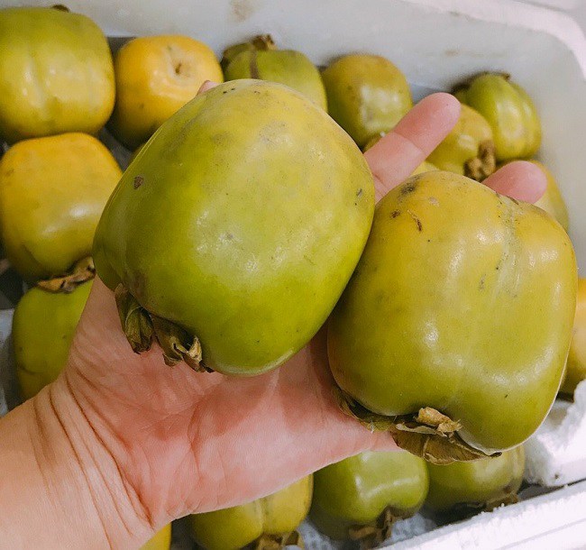 Chị Tuyết phải đặt mua loại hồng da tre size 5 quả/kg với giá 100.000 đồng/kg mà cả tuần mới có - Ảnh: NVCC.