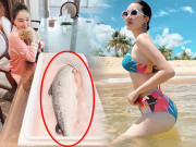 Làm đẹp - Bị chê mặt béo trên tivi, Bảo Thy được ông xã tặng cá hồi tận 7kg để giảm cân