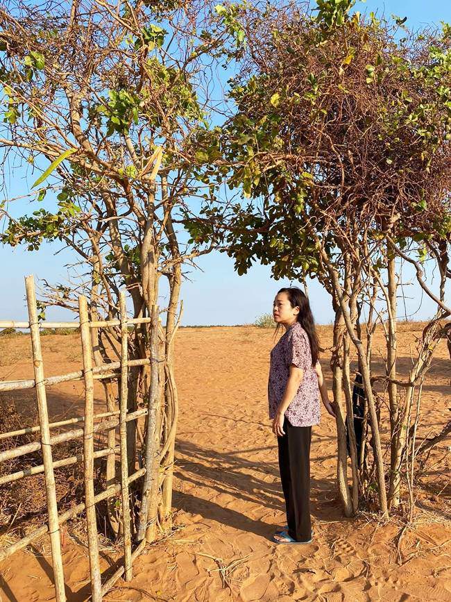 Người đàn bà chăn bò hoang dại amp;#34;Cát Đỏamp;#34;: Bán nhà sang Nhật về tay trắng, 33 tuổi mới yêu - 6