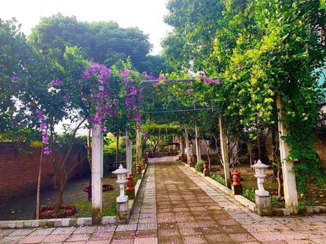 Sao Việt 24h: Vườn cây cảnh tuyệt đẹp trước cửa căn nhà 7 tỷ của nghệ sĩ Quang Tèo - 8
