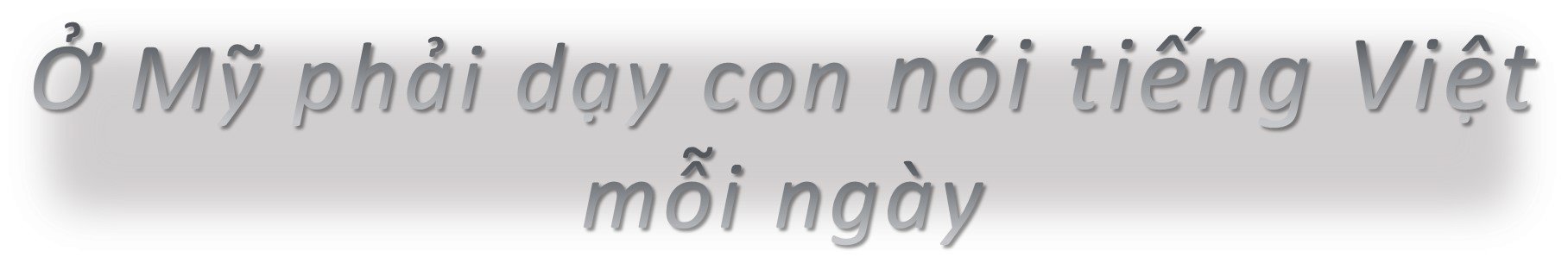 Trai quê có con với cô gái Tây, sang Mỹ ở rể làm ngay quản lý công ty bố vợ-5