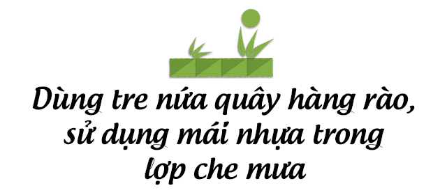 Muốn có khu tắm tiên, 8X vác tre, nứa về giữa thủ đô cải tạo sân vườn 55m2 đẹp mê - 6