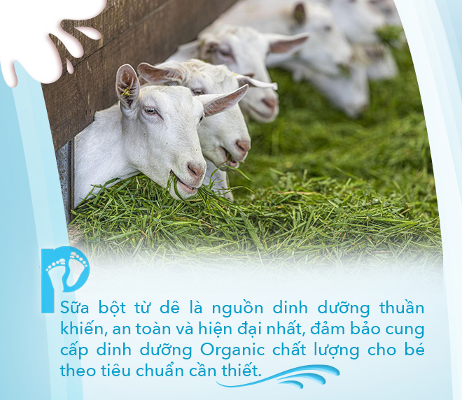 Chọn sữa dê cho con: Trào lưu không phải tự nhiên mà có - 4