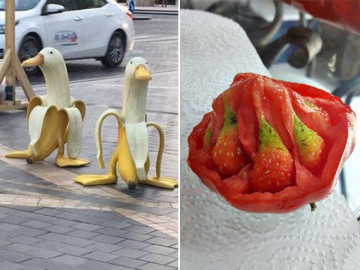 18 bức ảnh hài hước chứng minh: Trên đời này, chuyện gì cũng có thể xảy ra