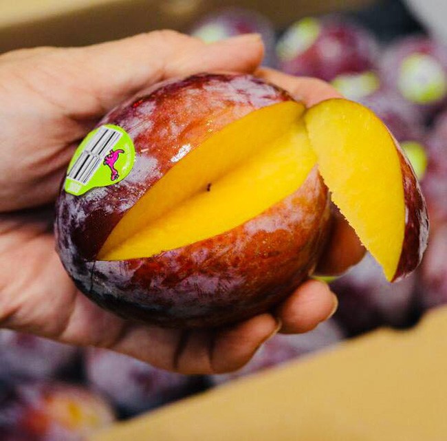 Mận đỏ của Mỹ bán tại thị trường Việt Nam với giá khoảng 225.000 đồng/kg