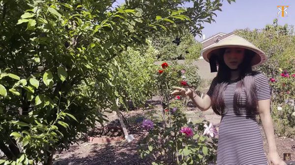Nữ ca sĩ có quan hệ mật thiết với Quang Lê khoe nhà bên Mỹ, vườn rộng vài trăm mét - 4