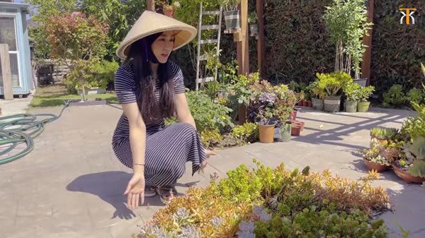Nữ ca sĩ có quan hệ mật thiết với Quang Lê khoe nhà bên Mỹ, vườn rộng vài trăm mét - 6