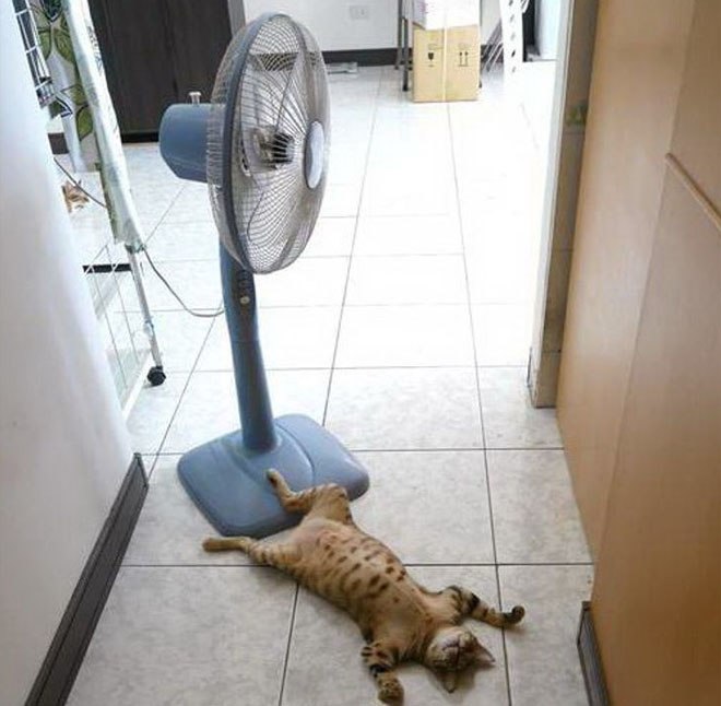 Đừng dừng lại, làm ơn! 