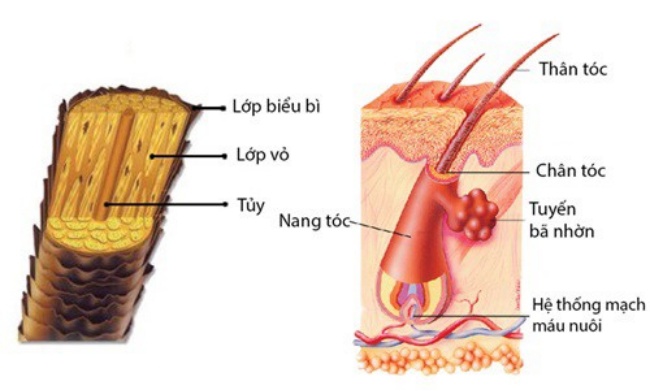 Gặp nàng amp;#34;công chúa Rapunzelamp;#34; đời thực, chăm sóc tóc dài bóng khoẻ chỉ từ nguyên liệu giá vài nghìn - 8