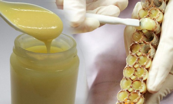 Một số tác hại của sữa ong chúa như gây ra phản ứng dị ứng, có thể ẩn chứa thuốc trừ sâu. (Ảnh minh họa)