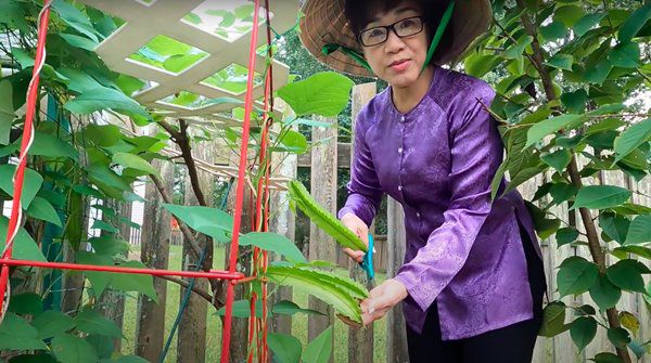 Nghệ sĩ Phương Hồng Thủy tuổi xế chiều bên Mỹ, làm vườn, trồng hoa rời xa hào quang - 3