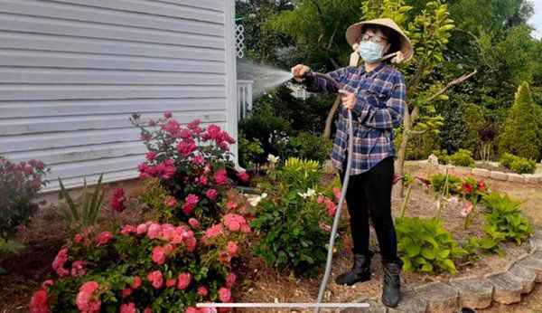 Nghệ sĩ Phương Hồng Thủy tuổi xế chiều bên Mỹ, làm vườn, trồng hoa rời xa hào quang - 6